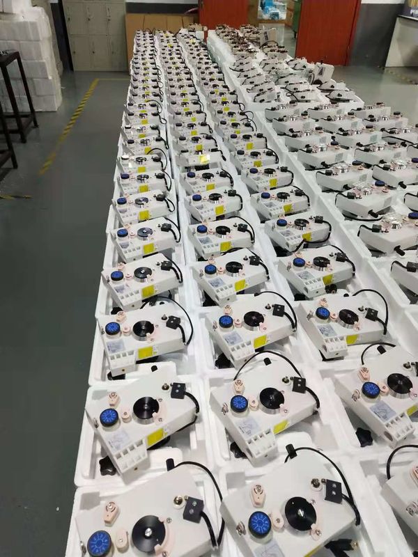 磁性 BLDC モーターおよびそれ以降の永久磁石ローター アセンブリ